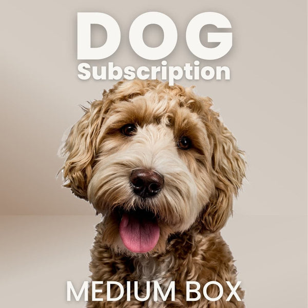 Dog Subscription Box: Medium