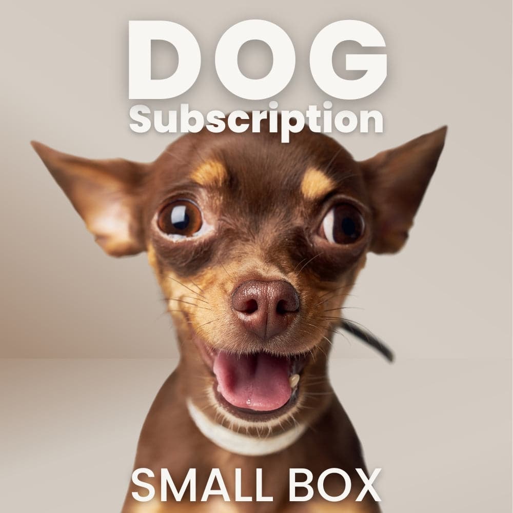 Dog subscriptions clearance