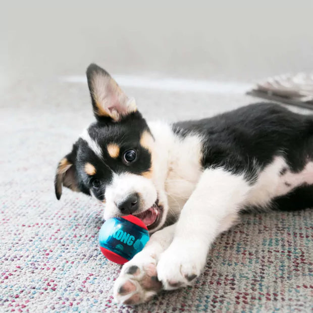 kong-squeezz-action-squeaking-dog-balls
