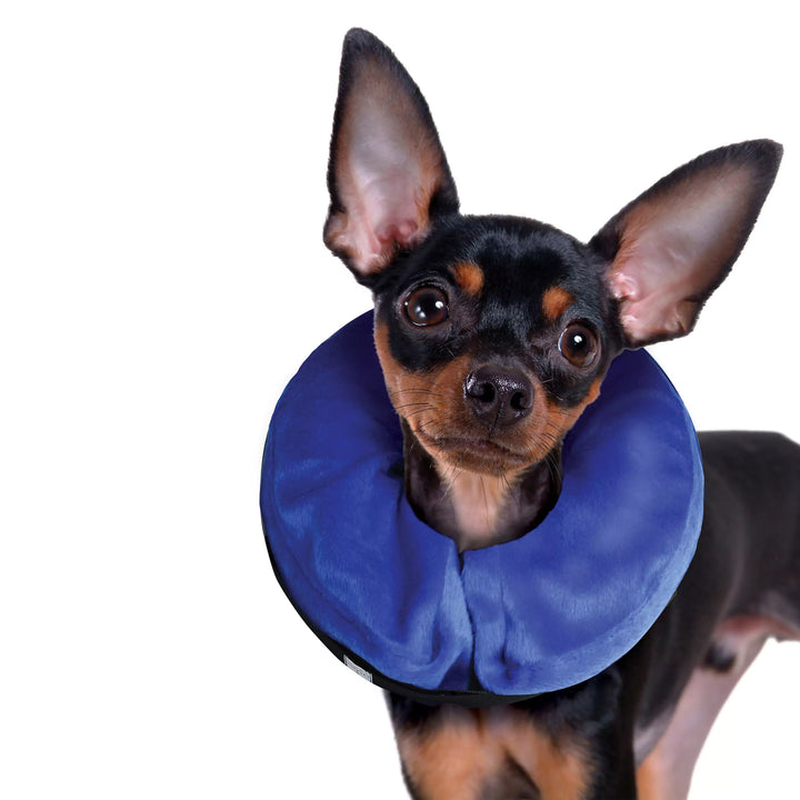 kong cloud e collar dog 