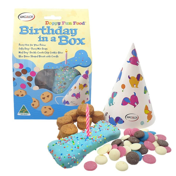 Doggy Fun Food Birthday in a Box Blue