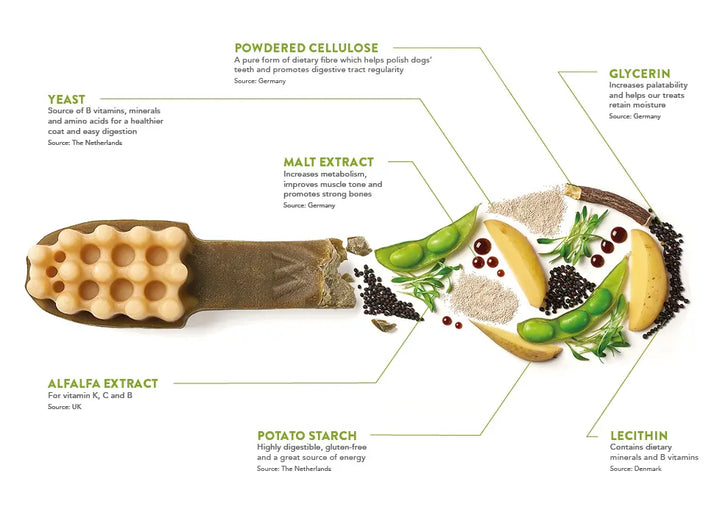 Diagram of a WHIMZEES Toothbrush labeled ingredients on a white background