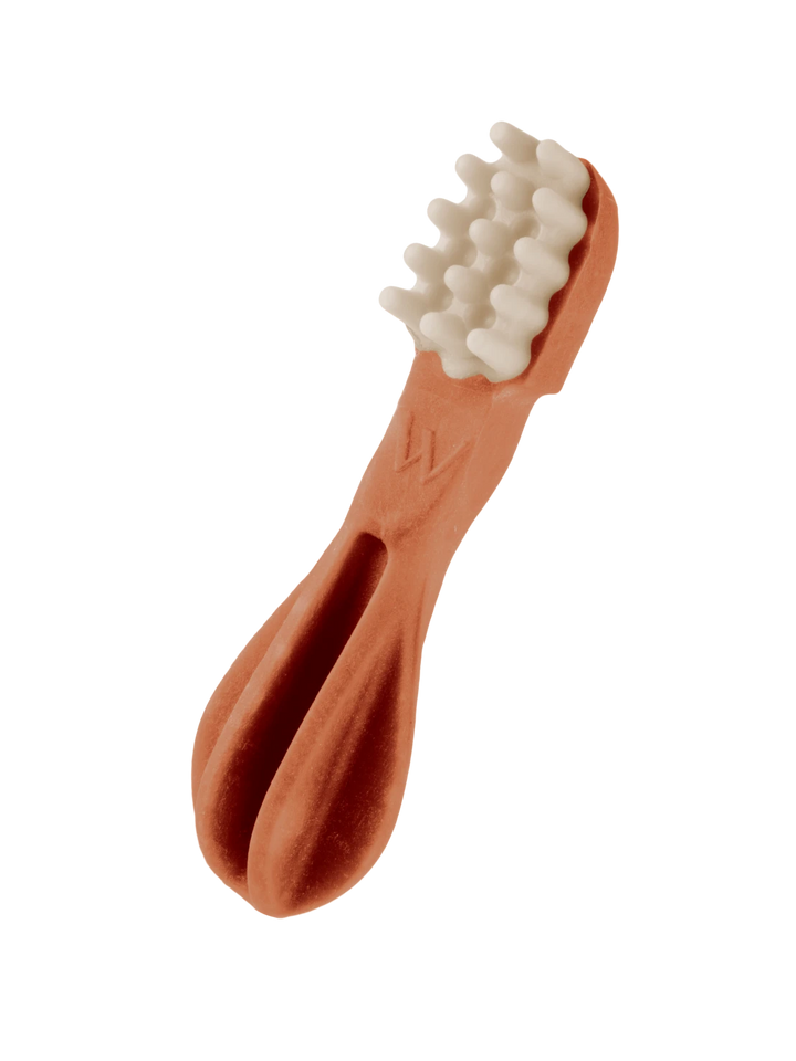 whimzees toothbrush dental dog treats