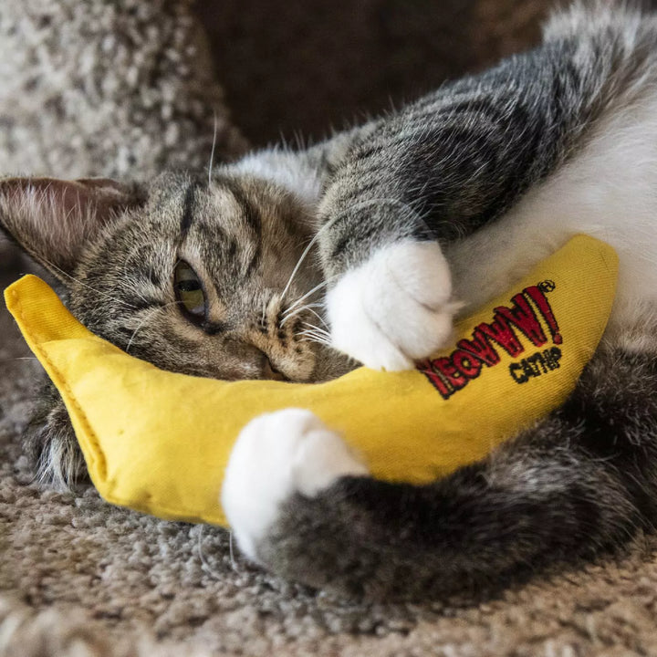 yeowww banana cat toy